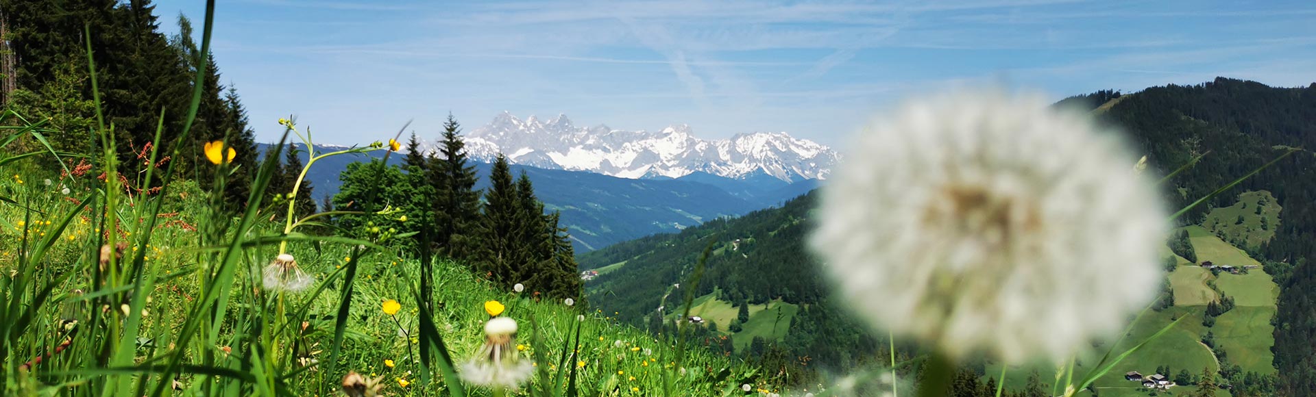 Eigene Alm - Hotel Alpenwelt in Flachau