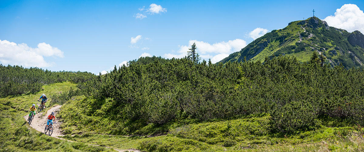 Mountainbiken - Sommerurlaub in Flachau, Salzburger Land